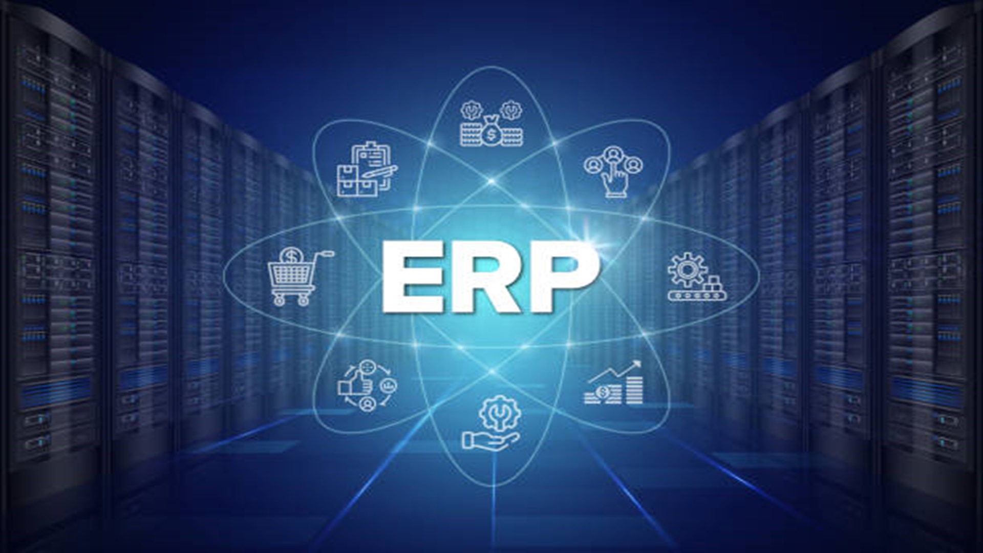 ERP Analyst Image