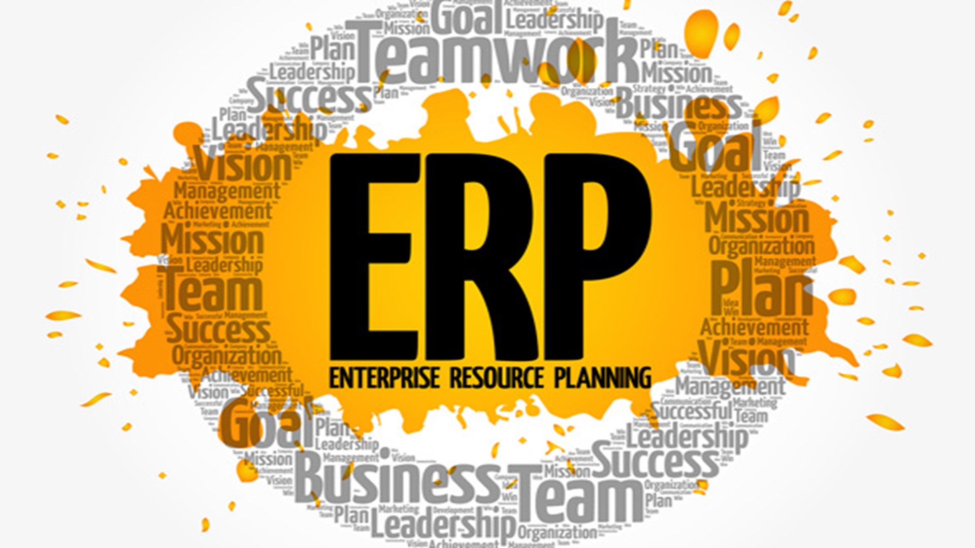 ERP Project Manager Image
