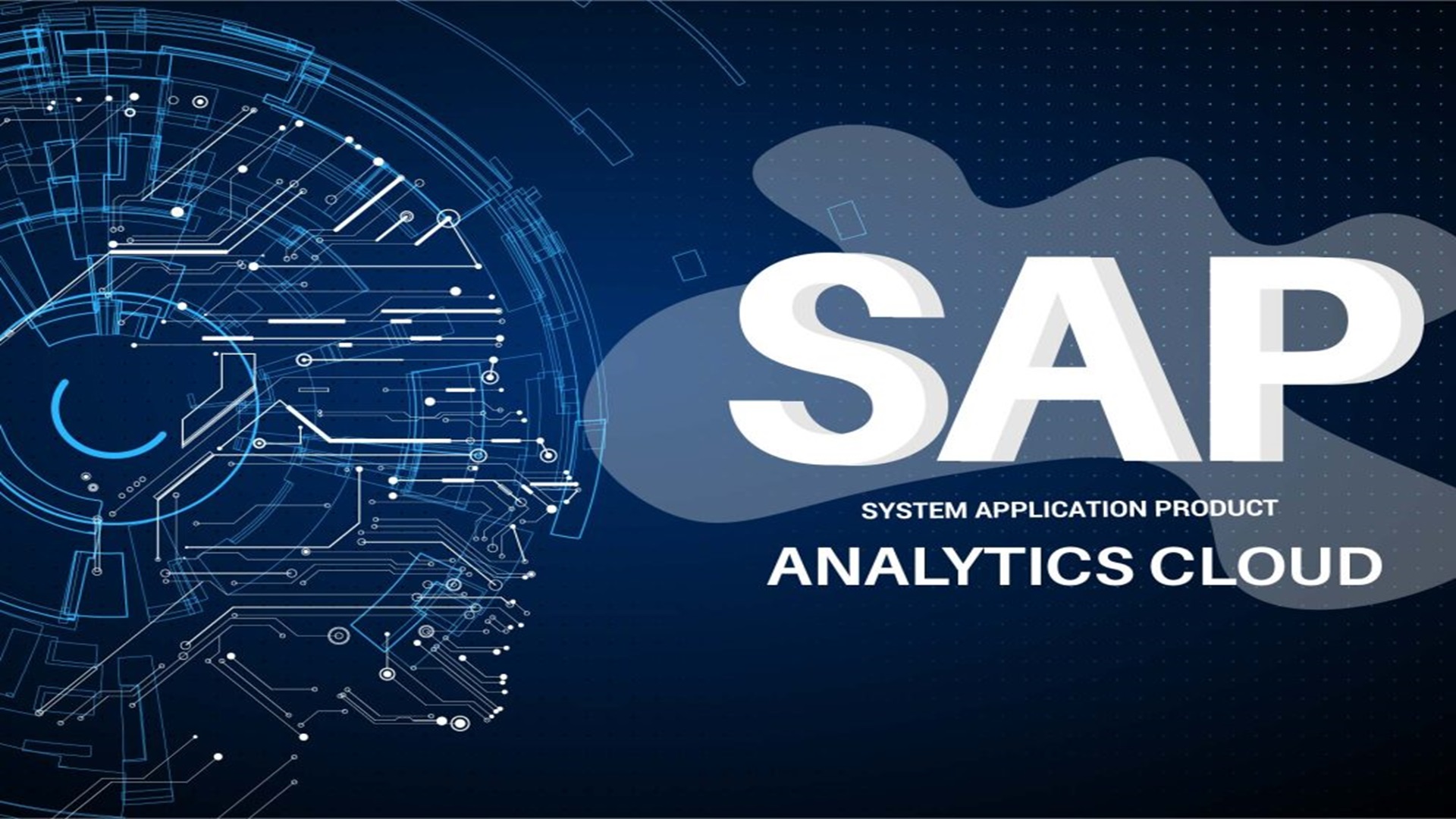 Analytics (SAC) Icon